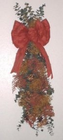 [Our Eucalyptus Broom]