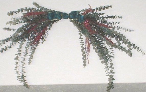 Our Green Ribbon Accented Eucalyptus Bough
