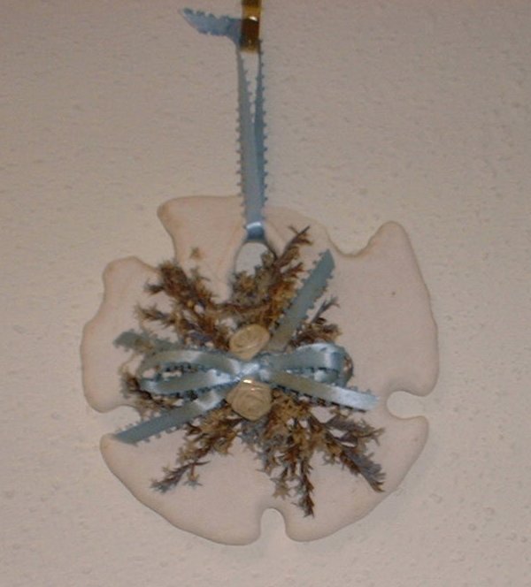 Our Sand Dollar design